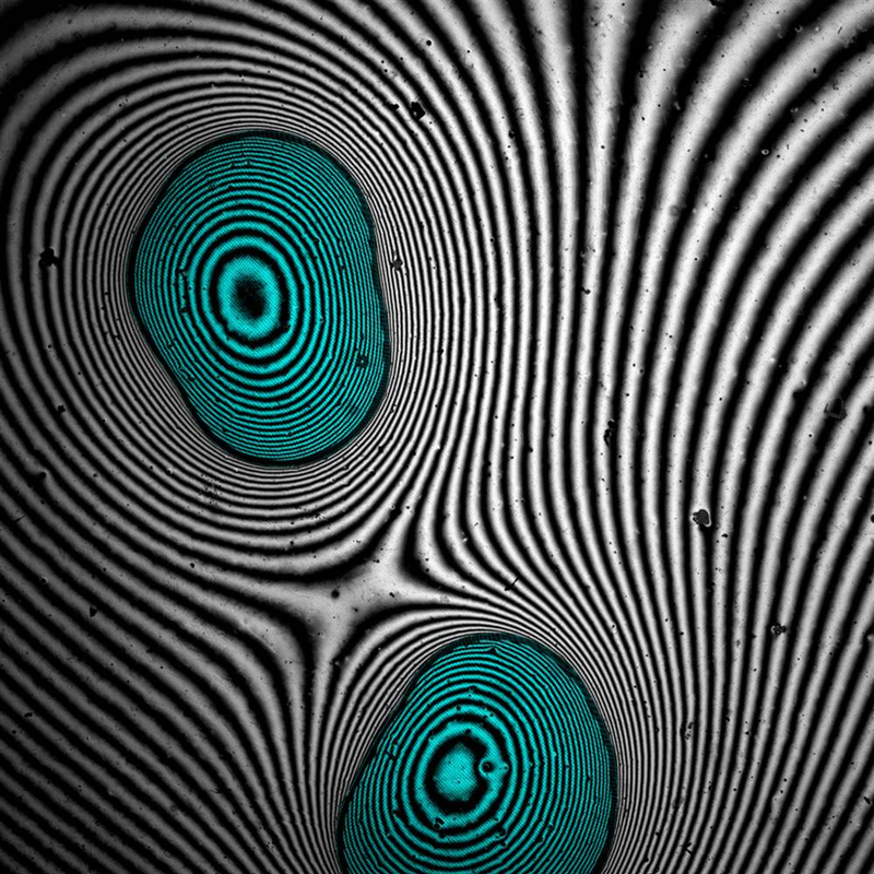 Illustration for article titled Las mejores fotografĂas de ciencia del año